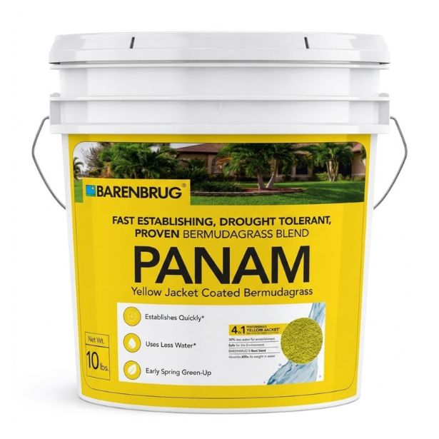 PanAm