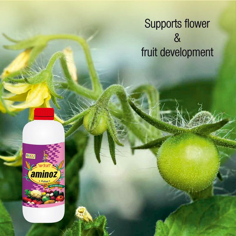 Home Garden Kit Agricare Corporation