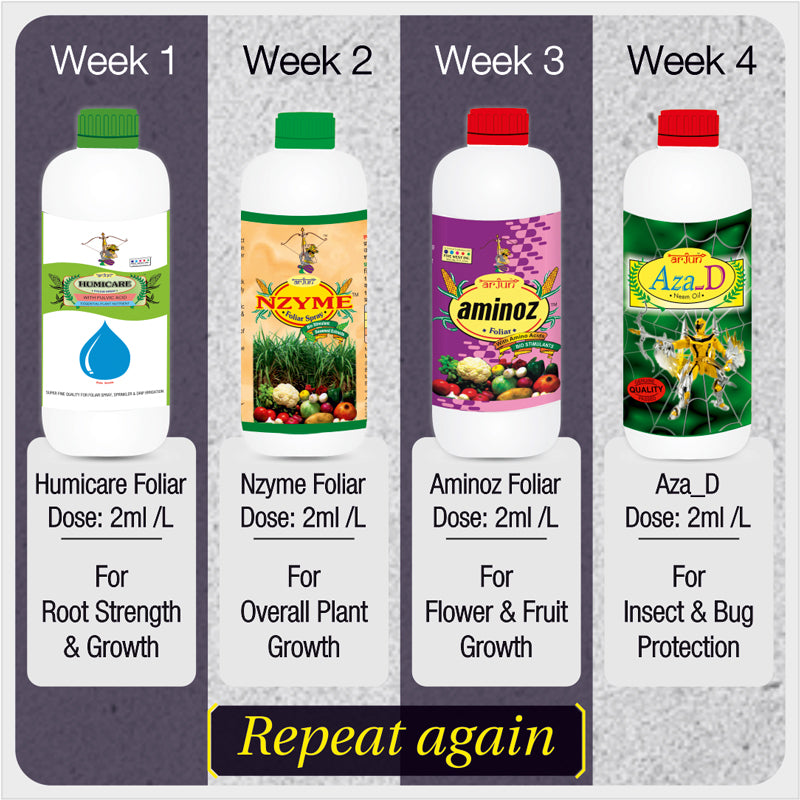Home Garden Kit Agricare Corporation