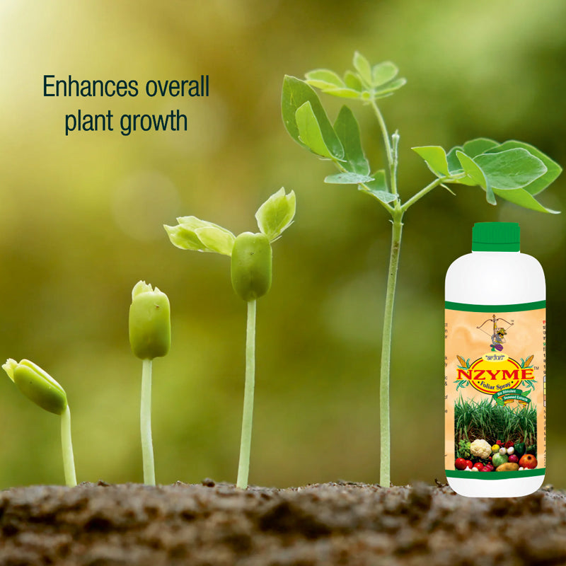 Home Garden Kit Agricare Corporation
