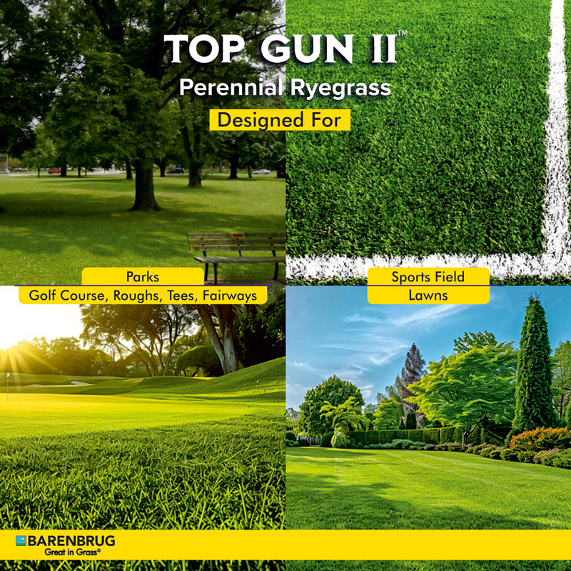Top Gun II Agricare Corporation