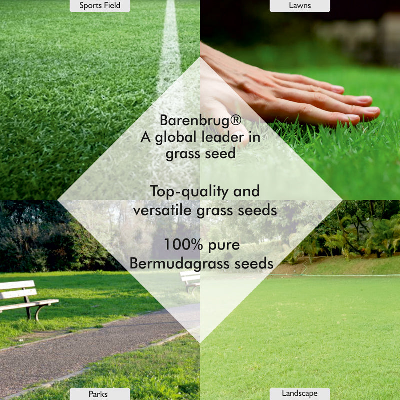 PanAm Agricare Corporation