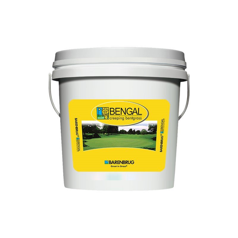Bengal Creeping Bentgrass 10 lb Bucket (4.54 kg) Agricare Corporation