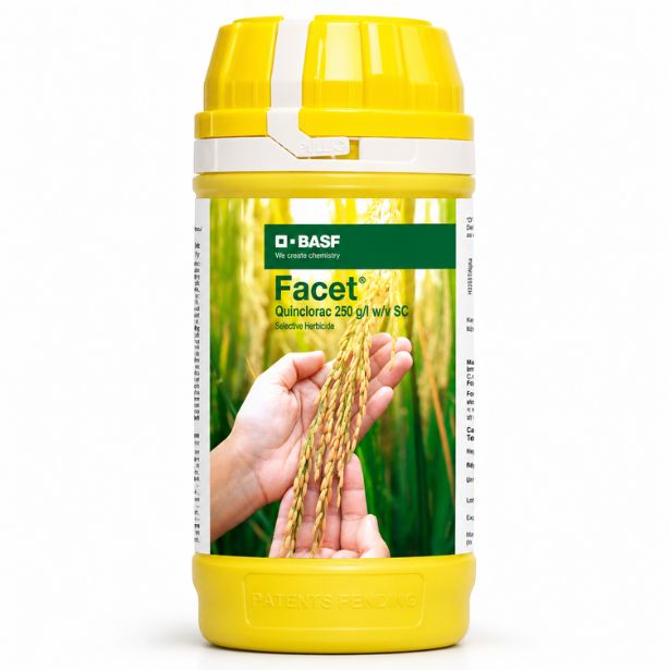 Facet selective herbicide for effective control of Echinochloa weeds in rice with foliar and systemic action.