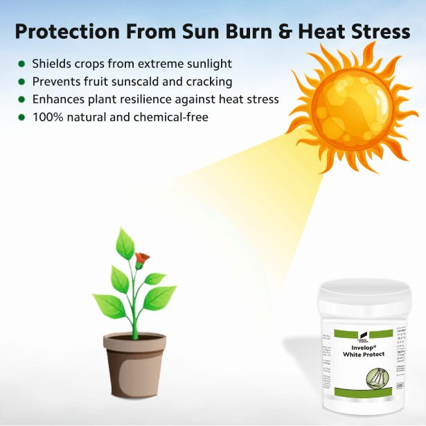 Invelop White Protect