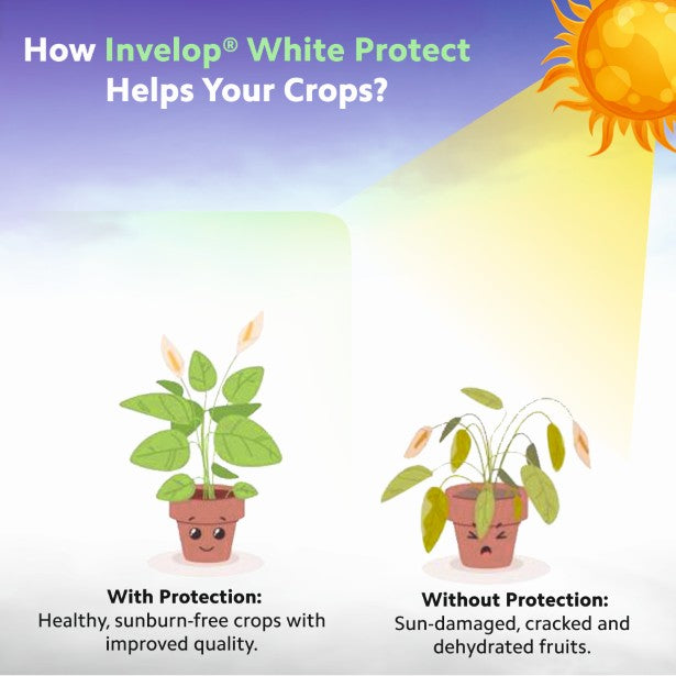 Invelop White Protect