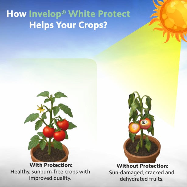Invelop White Protect