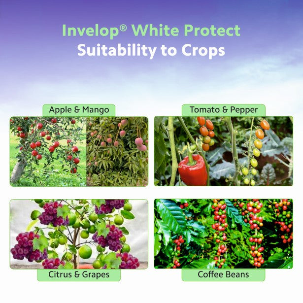 Invelop White Protect