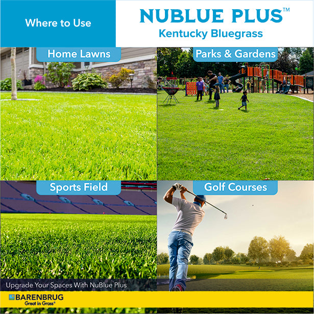 NuBlue Plus Kentucky Bluegrass showing its use on home lawns, parks, sports fields, and golf courses.