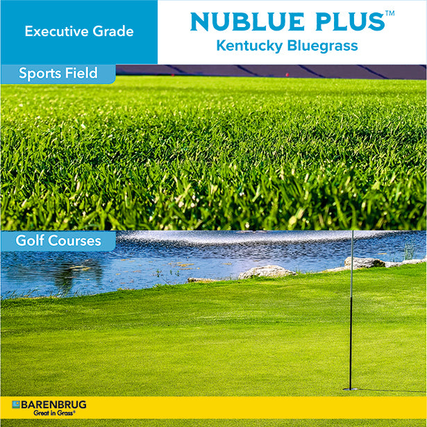 Nublue Plus Kentucky Bluegrass with golf course and sports field imagery.