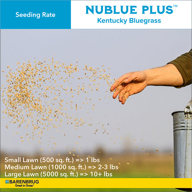 Person seeding Kentucky Bluegrass with Nublue Plus branding and lawn size