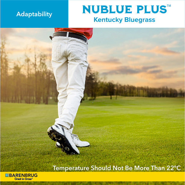 Person walking on a golf course with Nublue Plus Kentucky Bluegrass advertisement.