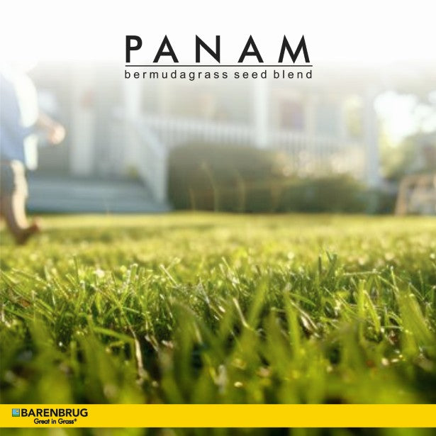 PanAm