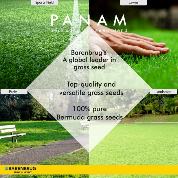 PanAm