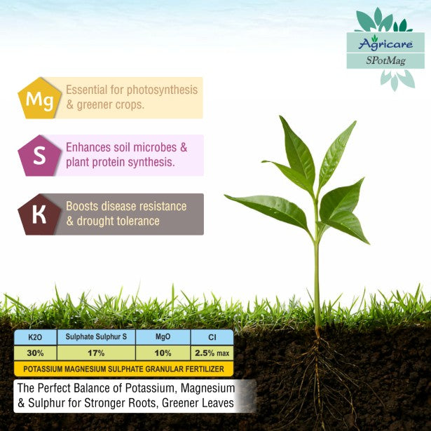 Agricare SPotMag