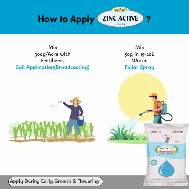 Zinc Active