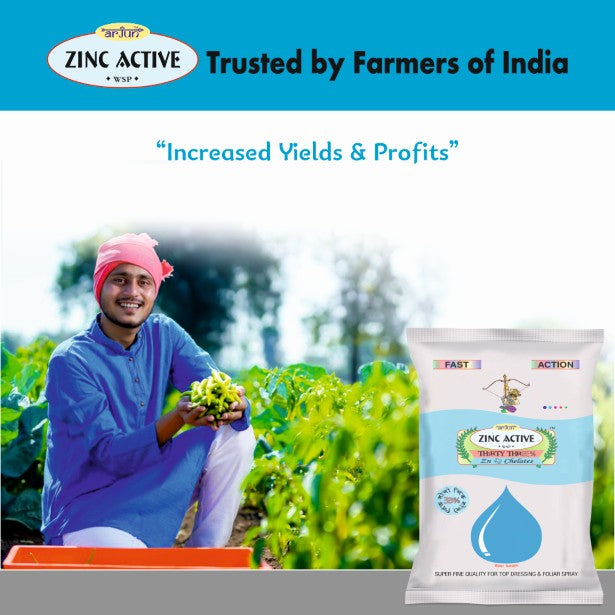 Zinc Active