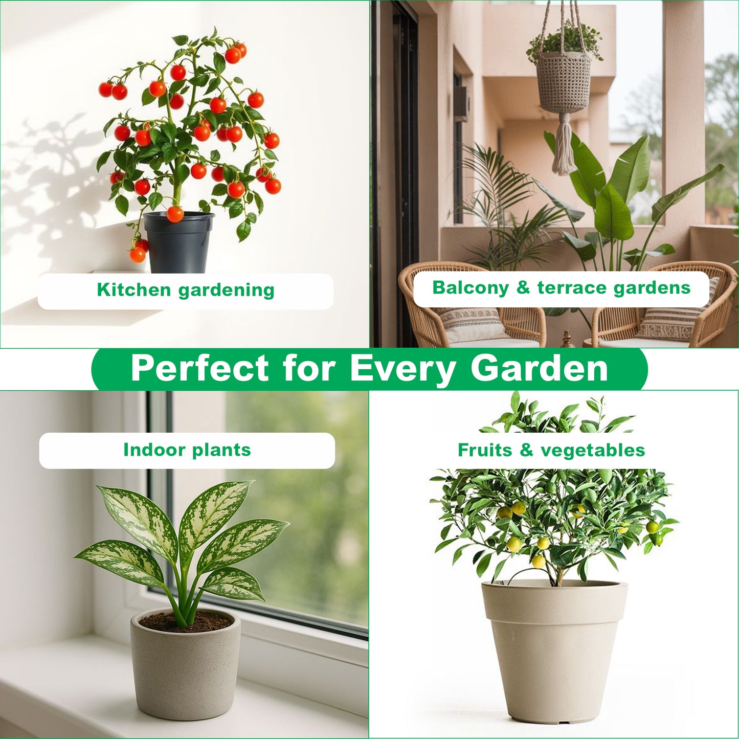 Essential Home Garden Fertilizer Kit