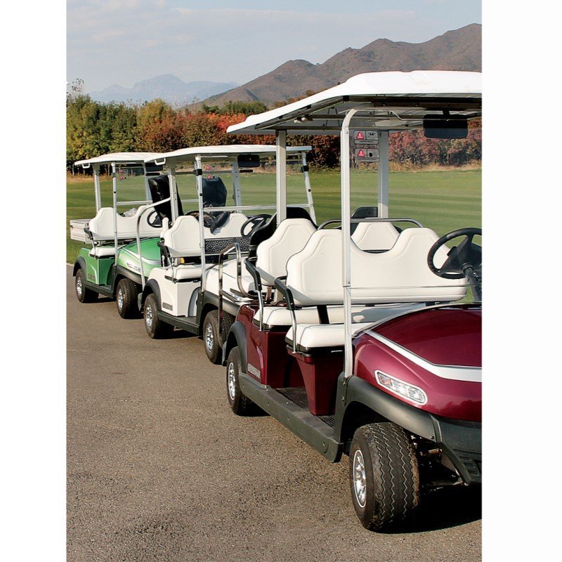 Golf Cart G20 Agricare Corporation