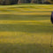 Best Turf Machine for Golf Courses in India – Buyers Guide