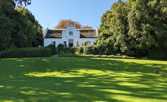 Home lawn enjoying seasonal turf growth