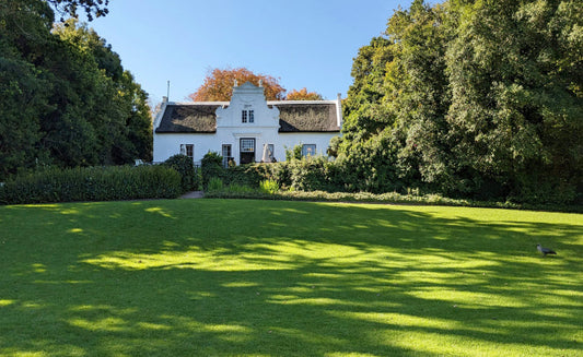 Home lawn enjoying seasonal turf growth