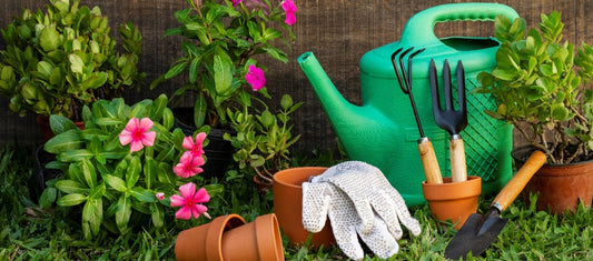 Home gardening comprehensive guide main image