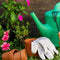 Home Gardening: a Comprehensive Guide