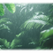 Top Tips to Maintain Healthy Plants During Monsoon Season