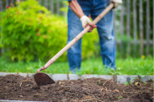 Preparing healthy soil for lawns and garden plants for better growth