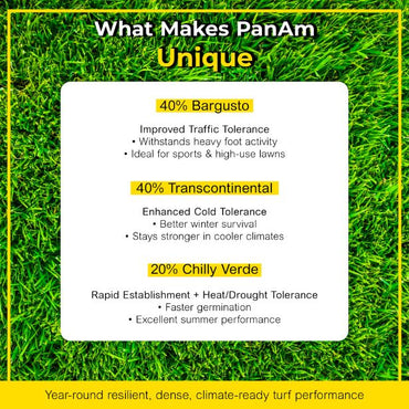 PanAm