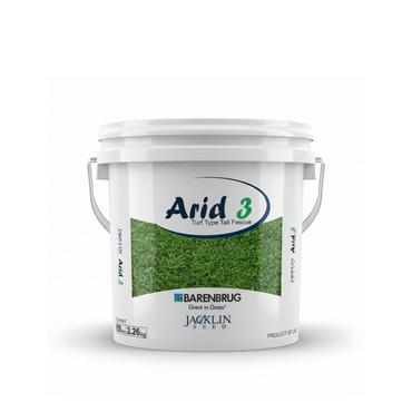 Arid 3 grass seed close-up texture image