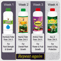 Home Garden Kit Agricare Corporation