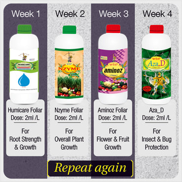 Home Garden Kit Agricare Corporation