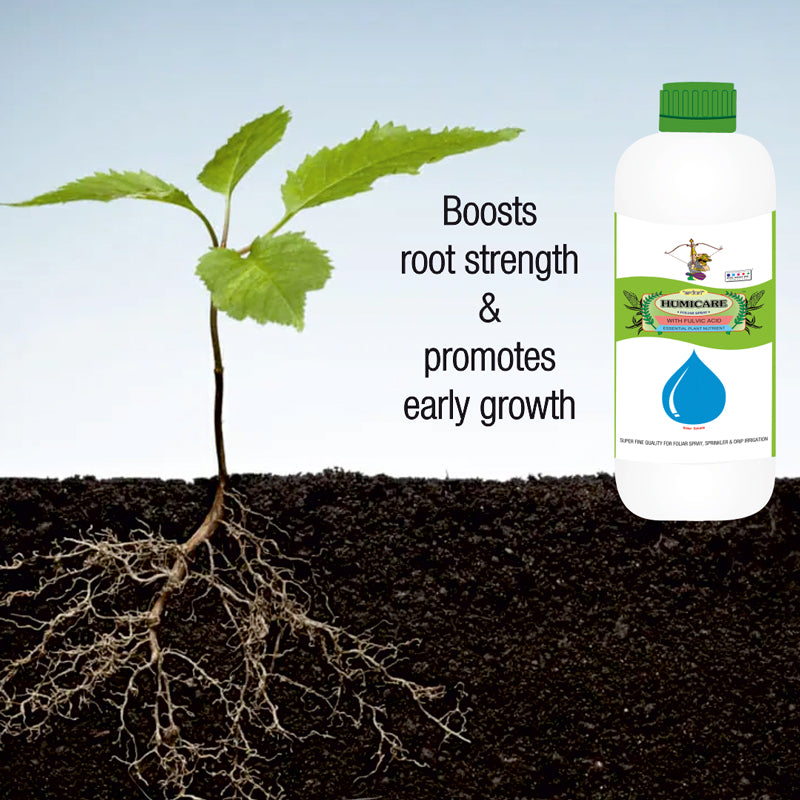Home Garden Kit Agricare Corporation