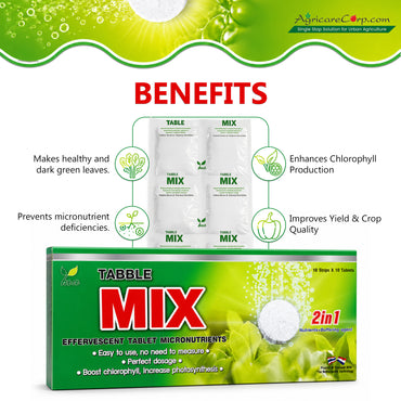 Nutri Tabble MIX effervescent tablet micronutrients benefits for healthy green leaves chlorophyll production crop quality and micronutrient nutrition.