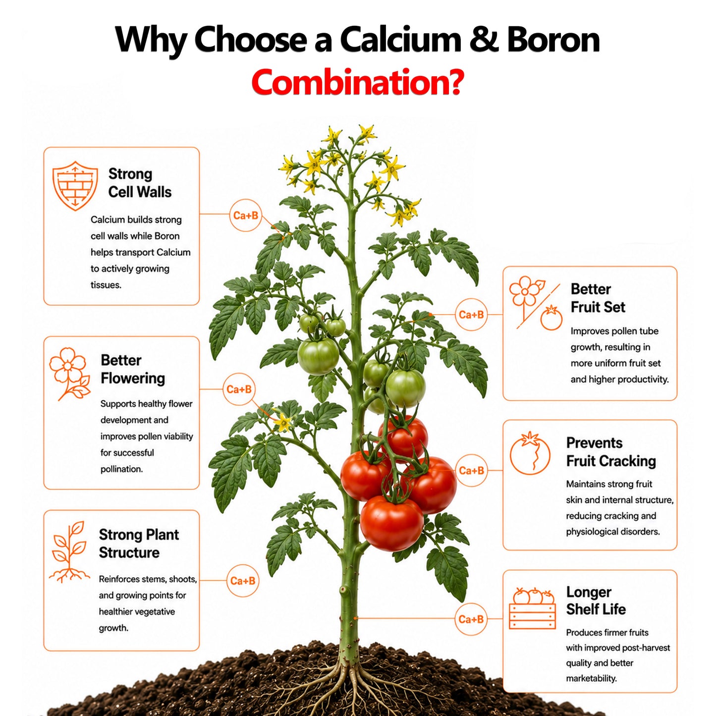 Nutri Tabble CAB advanced effervescent tablet technology with instant dissolution precision tablet dosing optimized spray solution pH and chloride-free formulation.