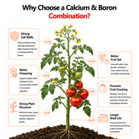 Nutri Tabble CAB advanced effervescent tablet technology with instant dissolution precision tablet dosing optimized spray solution pH and chloride-free formulation.