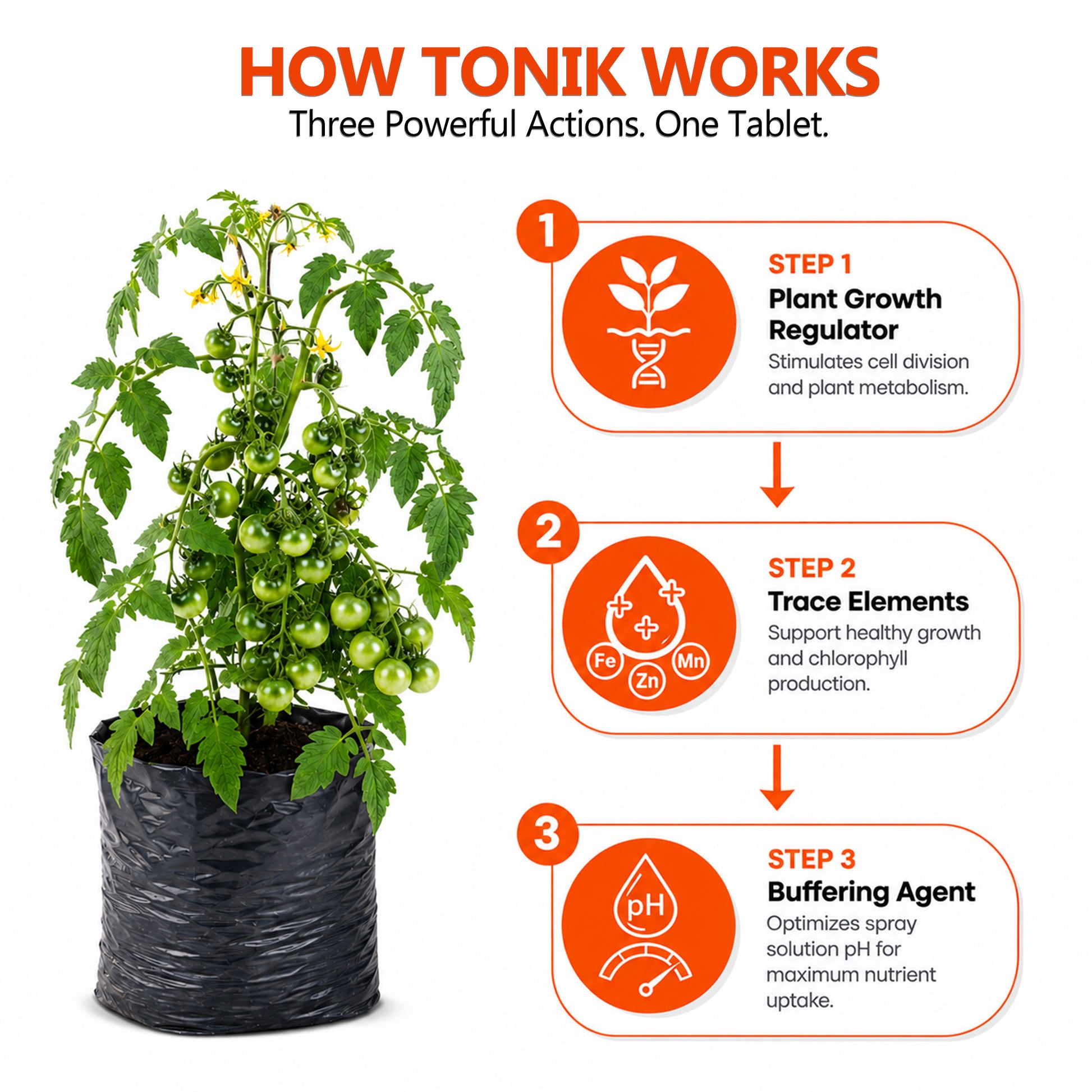 How Nutri Tabble TONIK works through plant growth regulator, trace elements and buffering agent to improve nutrient uptake and plant growth