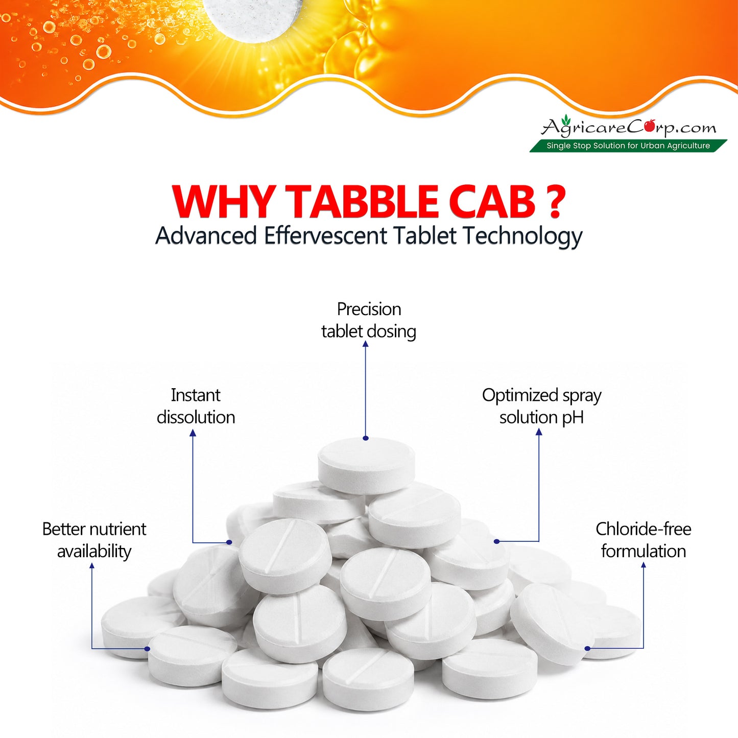 Nutri Tabble CAB benefits including improved fruit quality enhanced flowering stronger cell walls and reduced fruit cracking.