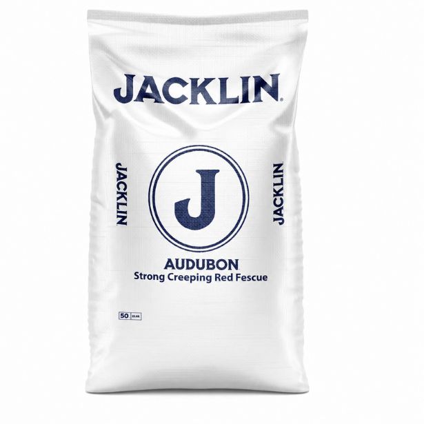 Audubon Strong Creeping Red Fescue grass seed for shade tolerant lawn and golf course rough