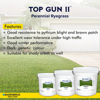 Top Gun II Agricare Corporation