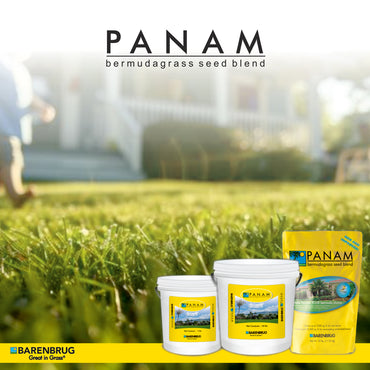 PanAm Agricare Corporation