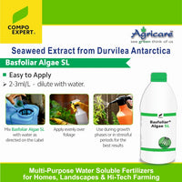 Basfoliar Algae SL Seaweed Extract from Durvilea Antarctica Easy to Apply