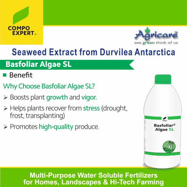 Basfoliar Algae SL Seaweed Extract from durvilea Antarctica Benefit