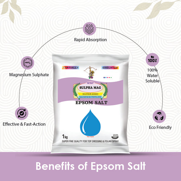Infographic showing benefits like rapid absorption effective action and 100 percent solubility of epsom salt.