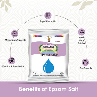 Infographic showing benefits like rapid absorption effective action and 100 percent solubility of epsom salt.