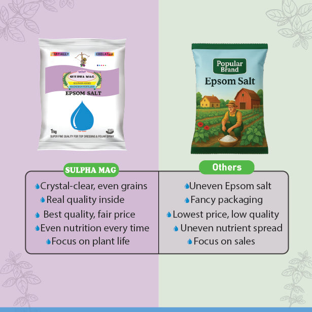Before and after plant growth improvement with Sulpha Mag epsom salt compared to Ugaoo epsom salt.