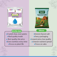 Before and after plant growth improvement with Sulpha Mag epsom salt compared to Ugaoo epsom salt.