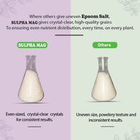 Side-by-side comparison of crystal clear epsom salt grains versus uneven grains of other brands.